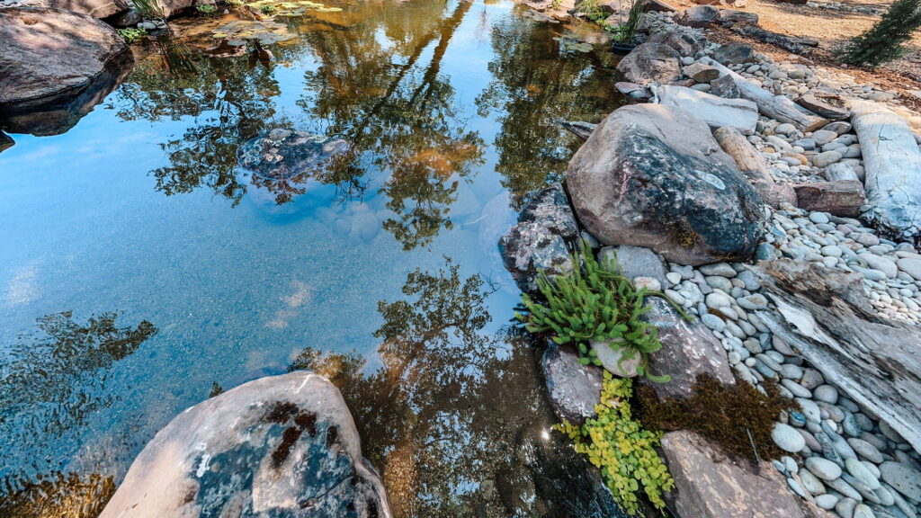 This image has an empty alt attribute; its file name is DJI_20240620_134846_588-6-edited.jpg